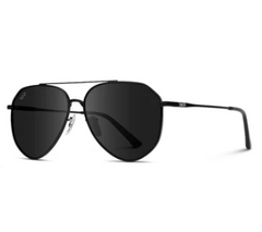 Ramsey Modern Polarized Aviator Sunglasses