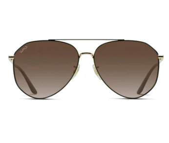 Ramsey Modern Polarized Aviator Sunglasses