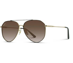 Ramsey Modern Polarized Aviator Sunglasses